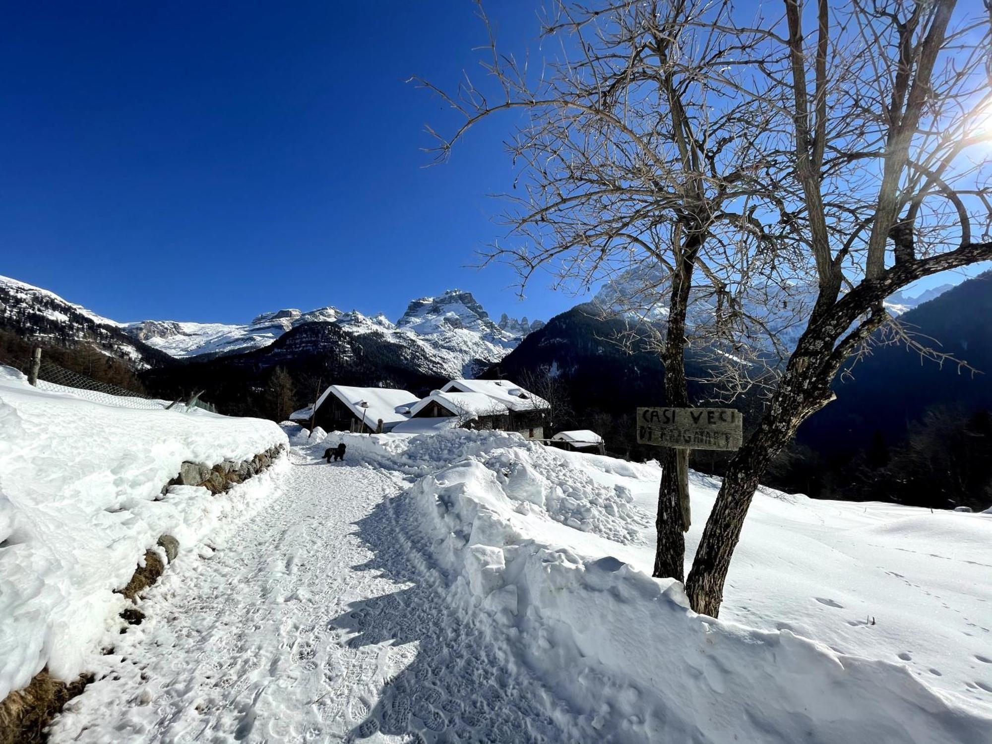 Villa Alpina Campiglio Madonna Dış mekan fotoğraf