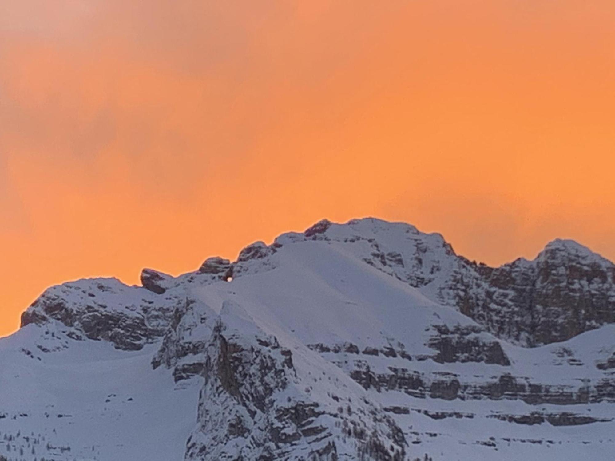 Villa Alpina Campiglio Madonna Dış mekan fotoğraf