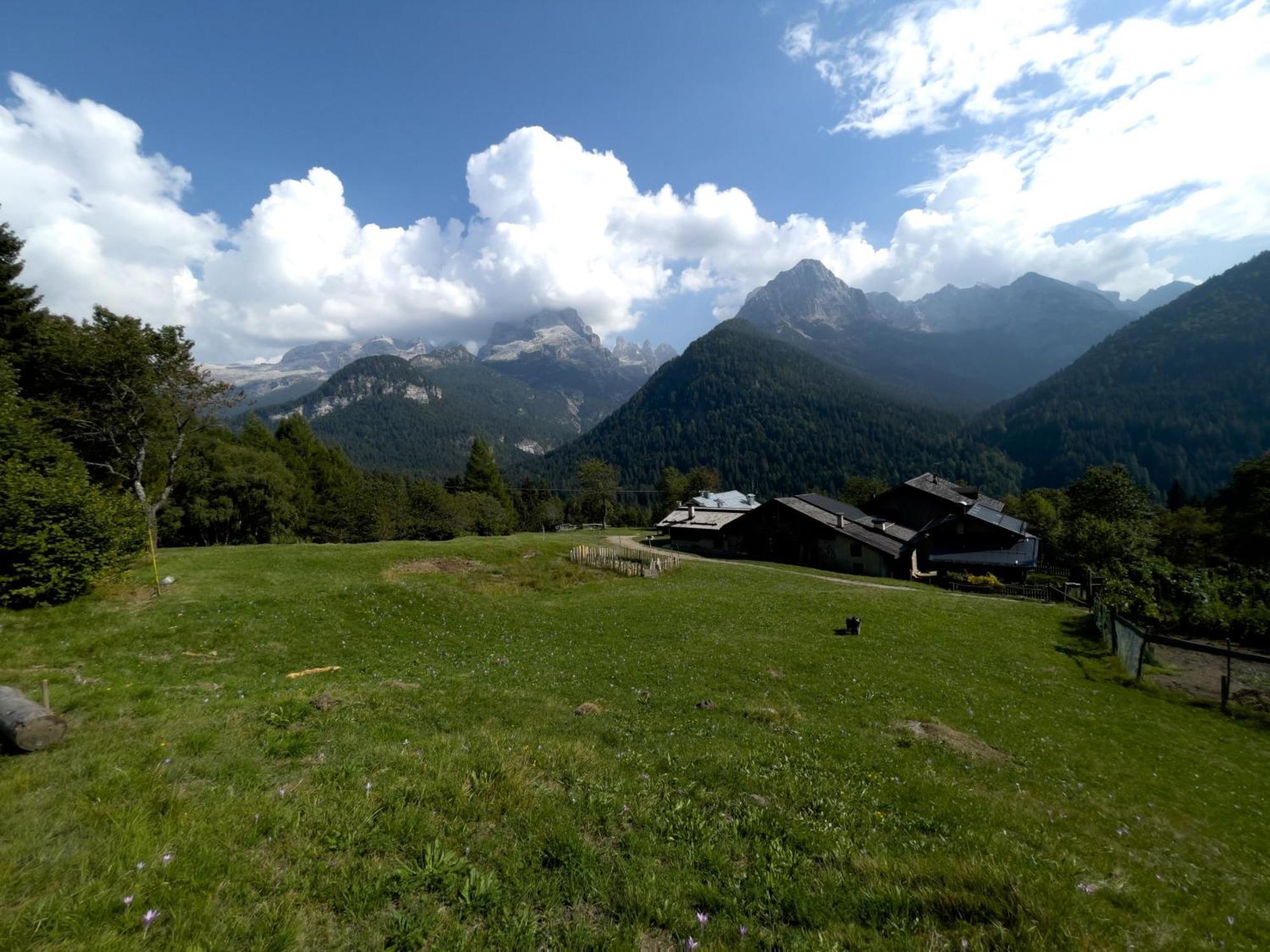 Villa Alpina Campiglio Madonna Dış mekan fotoğraf