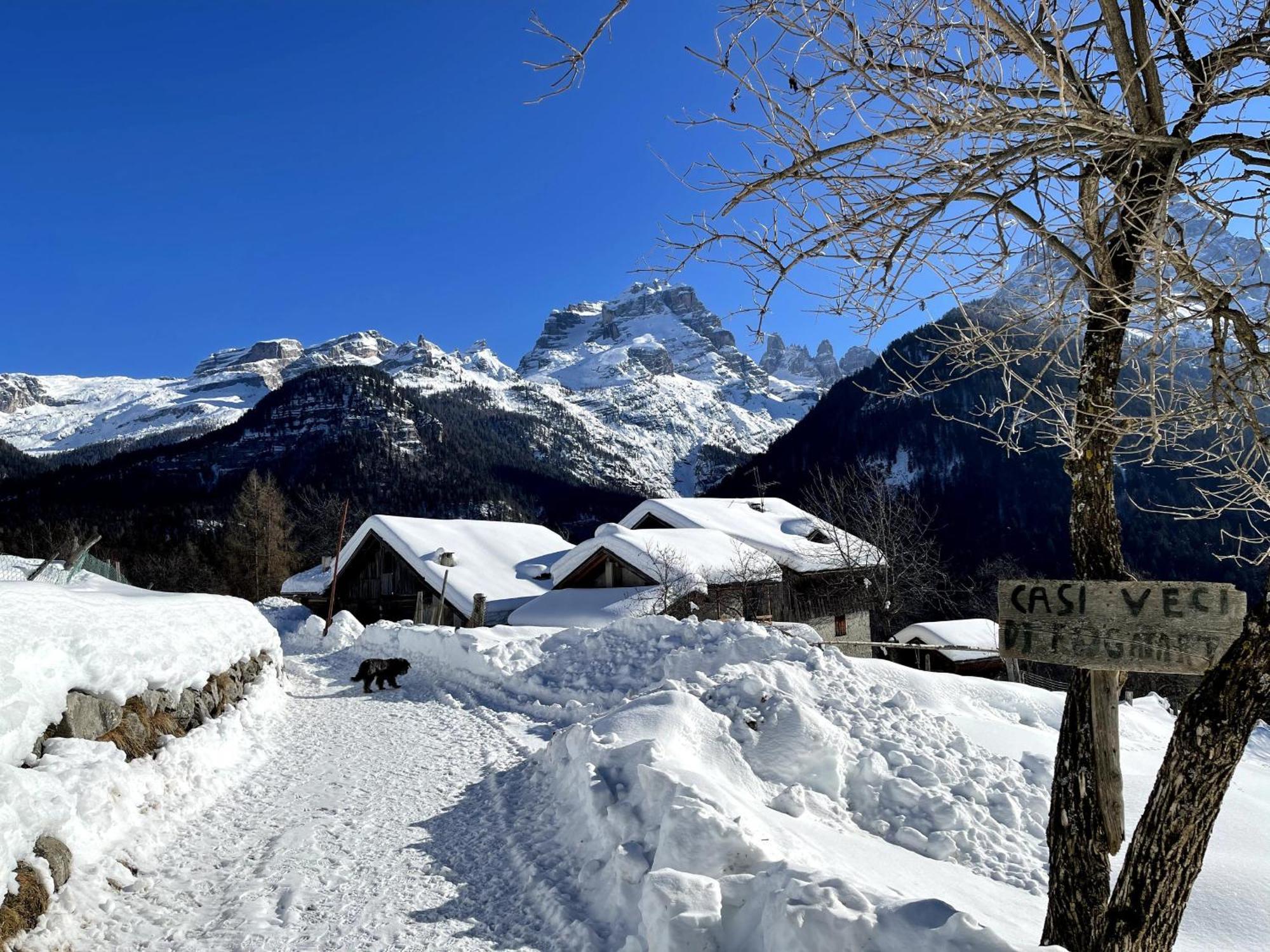 Villa Alpina Campiglio Madonna Dış mekan fotoğraf