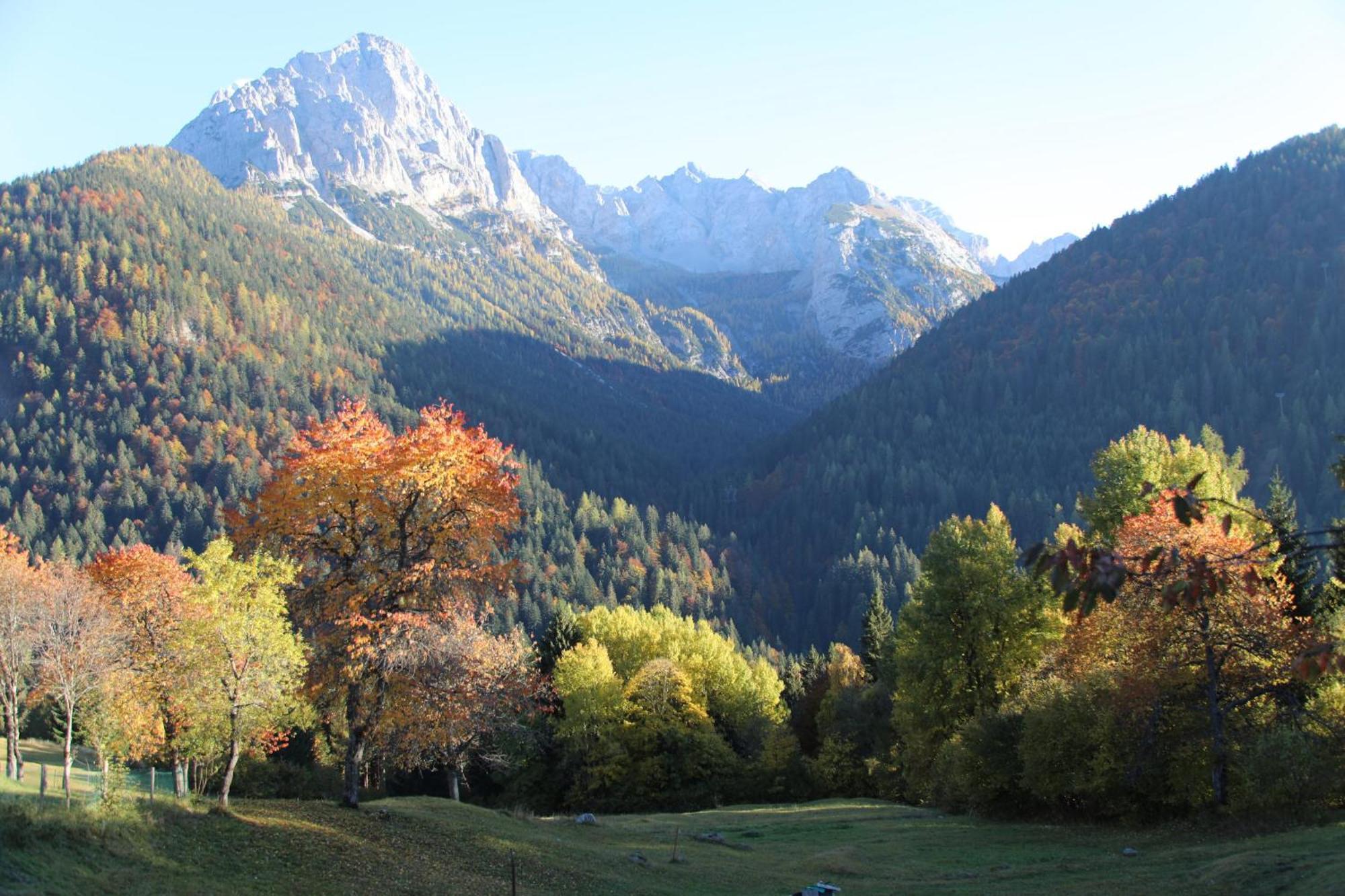 Villa Alpina Campiglio Madonna Dış mekan fotoğraf