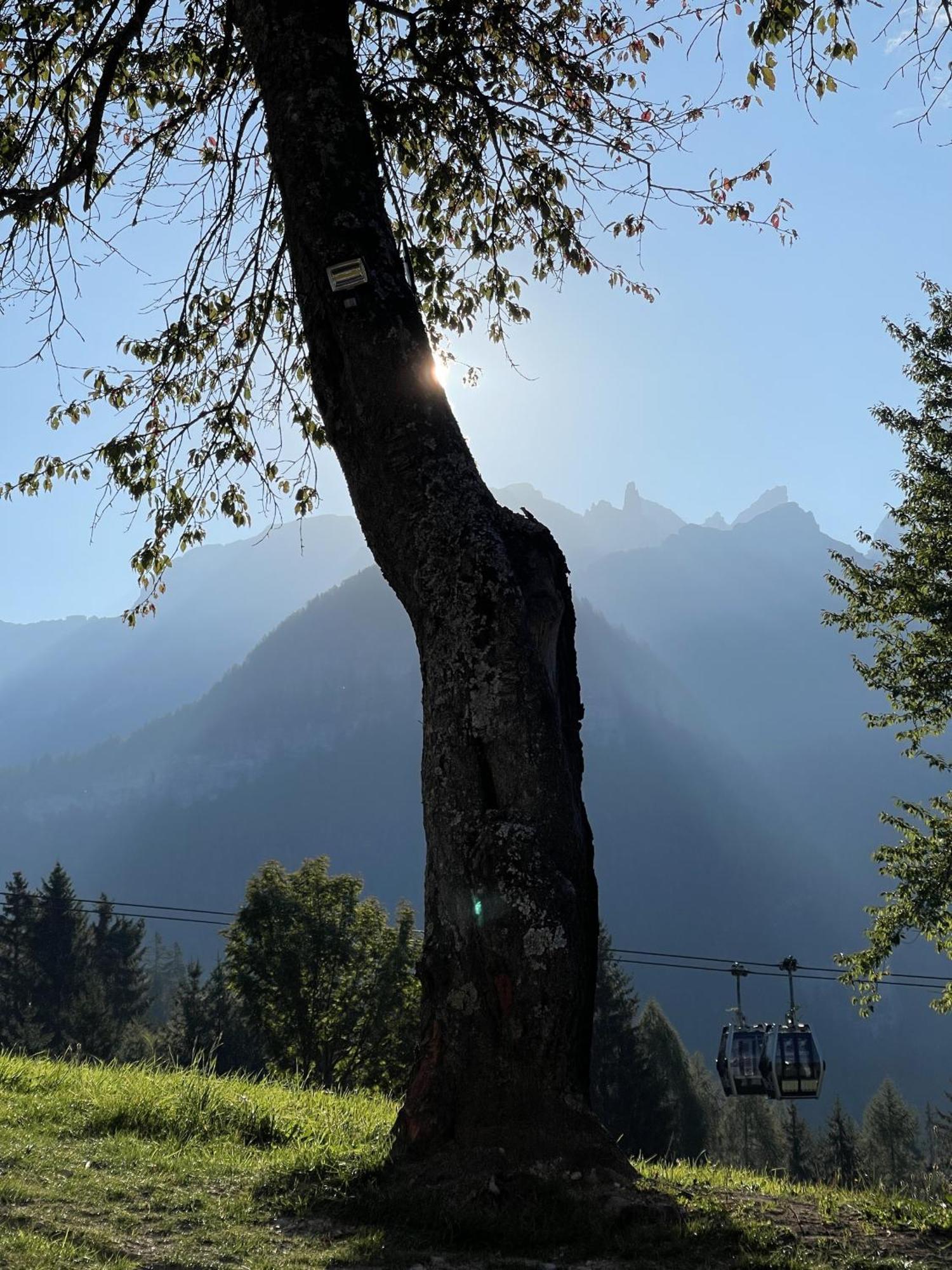 Villa Alpina Campiglio Madonna Dış mekan fotoğraf