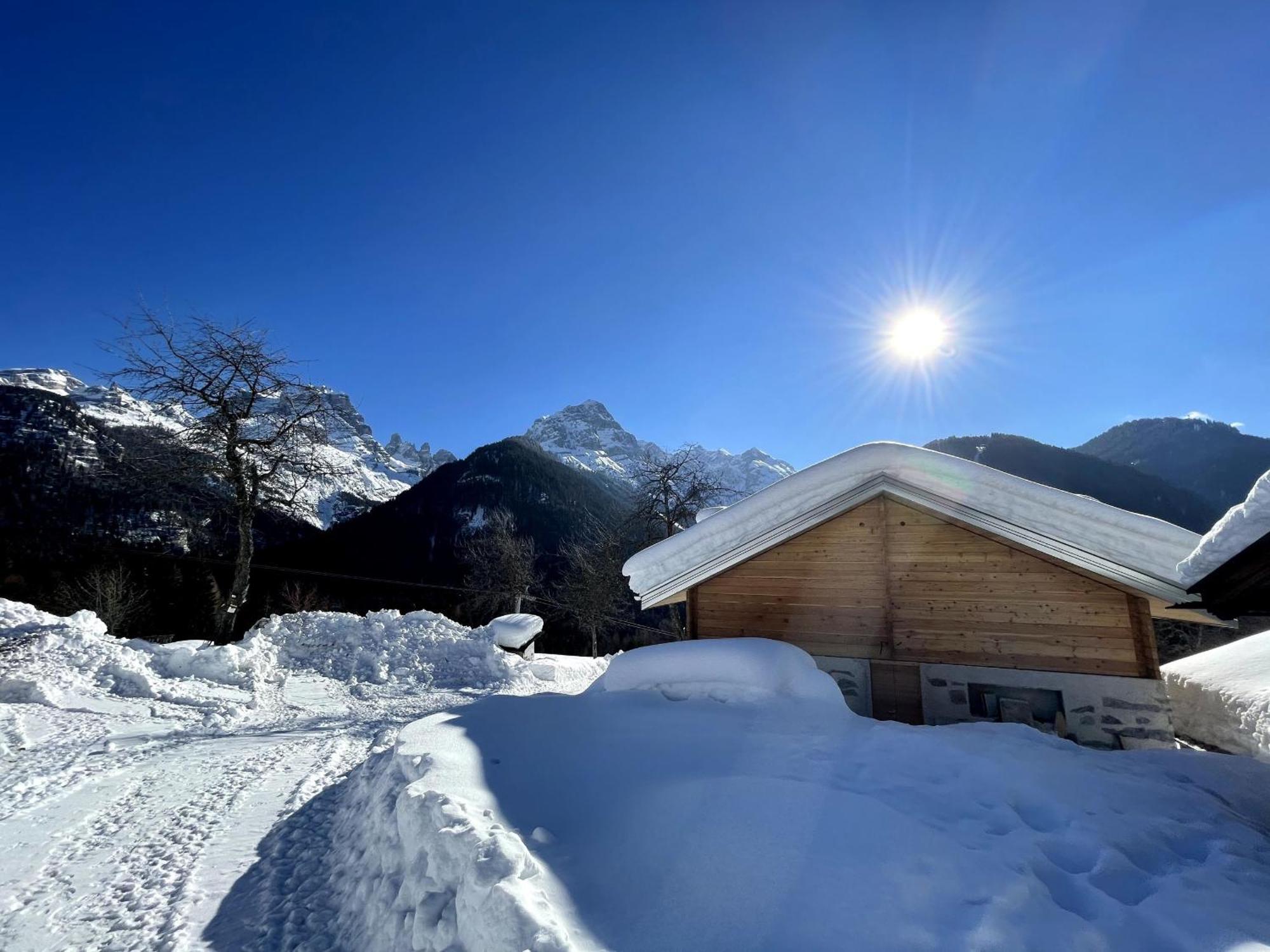 Villa Alpina Campiglio Madonna Dış mekan fotoğraf