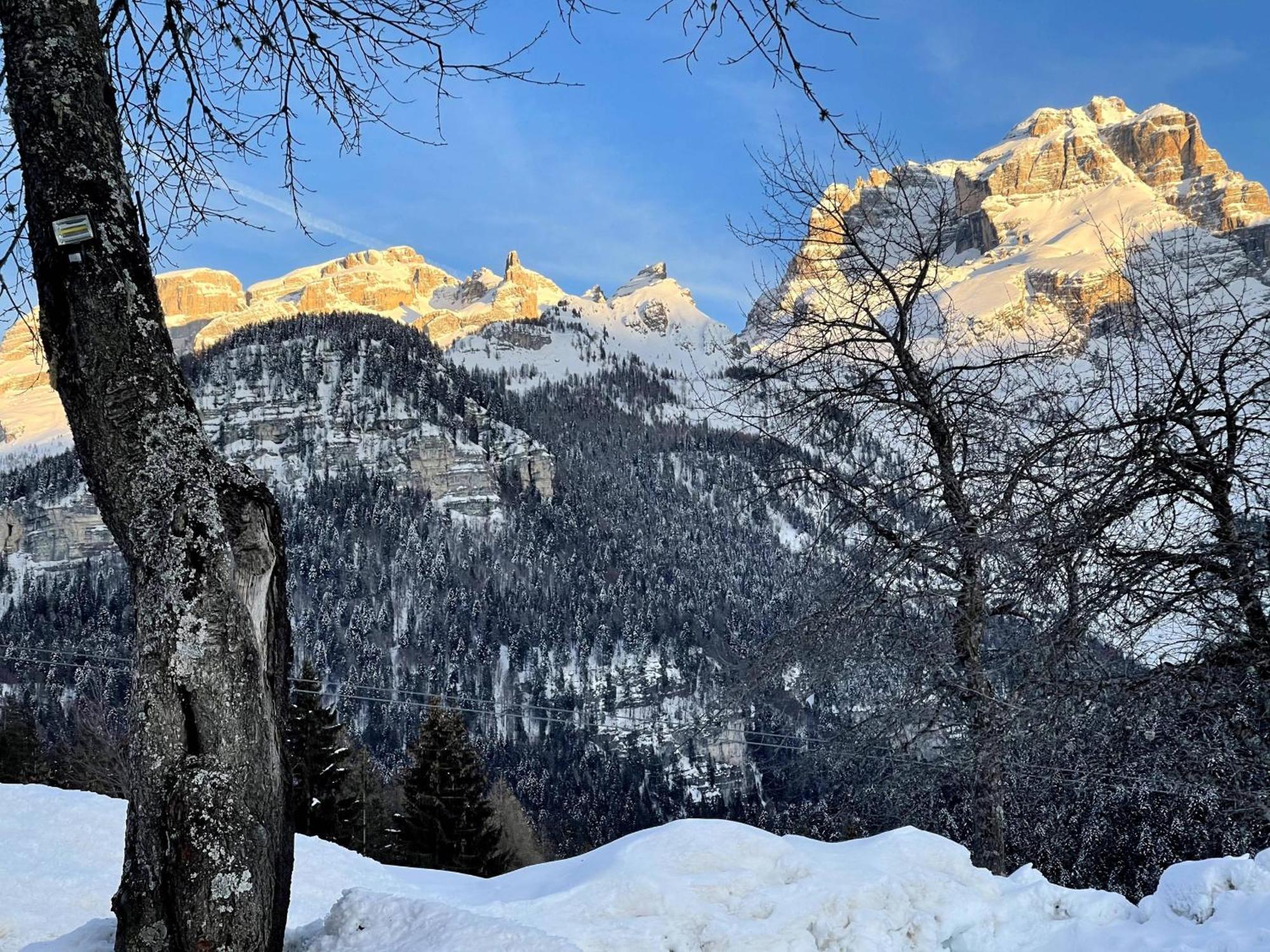 Villa Alpina Campiglio Madonna Dış mekan fotoğraf