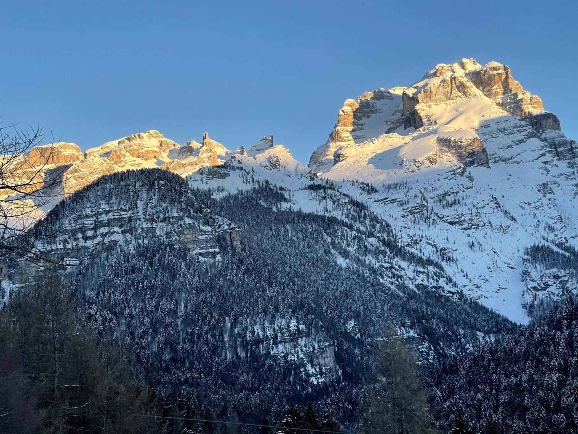 Villa Alpina Campiglio Madonna Dış mekan fotoğraf