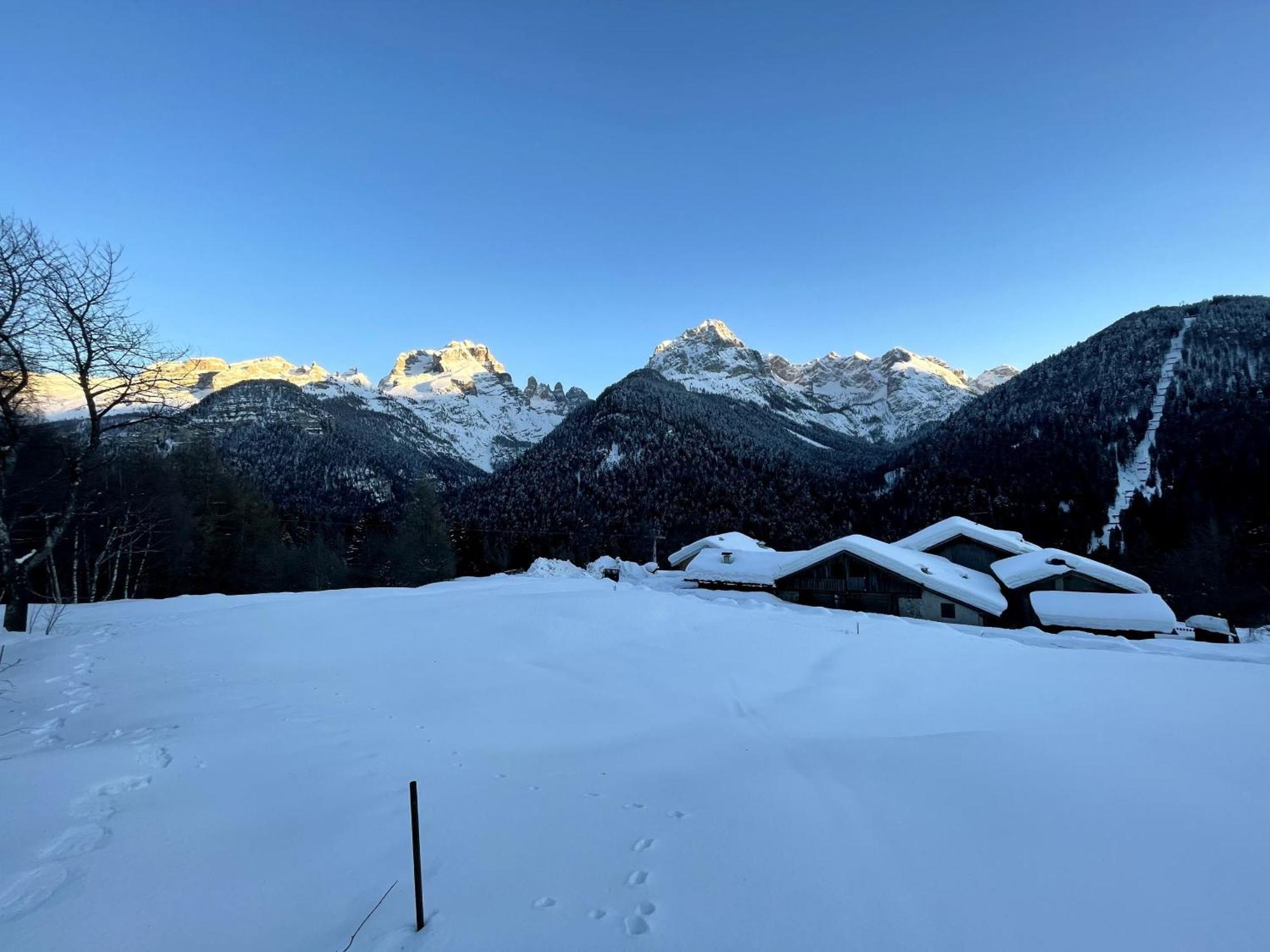 Villa Alpina Campiglio Madonna Dış mekan fotoğraf